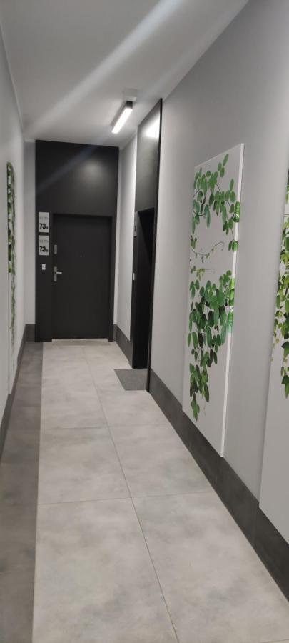 Apartament Centrum ビィドゴシュチュ エクステリア 写真